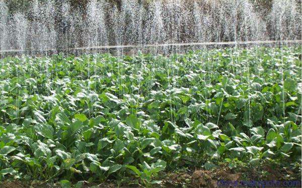 陜西微噴帶 陜西微噴帶